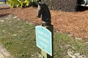 4281 E County Hwy 30A E, Santa Rosa Beach, FL 32459 - Photo 49