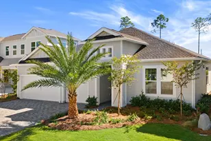 45 Dunns Cir, Inlet Beach, FL 32461 - Photo 43