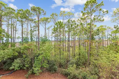 9700 Grand Sandestin Boulevard #UNIT 4212, Miramar Beach, FL 32550 - Photo 19