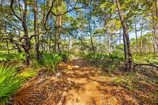 195 Cassine Garden Cir, Santa Rosa Beach, FL 32459 - Photo 37