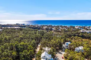 325 Matt's Way, Santa Rosa Beach, FL 32459 - Photo 33