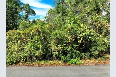 149 Palmetto Avenue, Freeport, FL 32439 - Photo 3