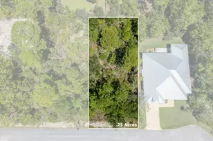 53 Sun Bear Cir, Freeport, FL 32439 - Photo 1