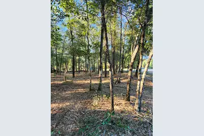 Lot 37 Diane Place, Chipley, FL 32428 - Photo 13