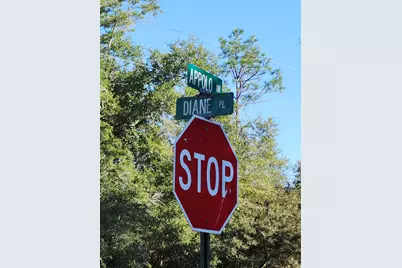 Lot 37 Diane Place, Chipley, FL 32428 - Photo 9