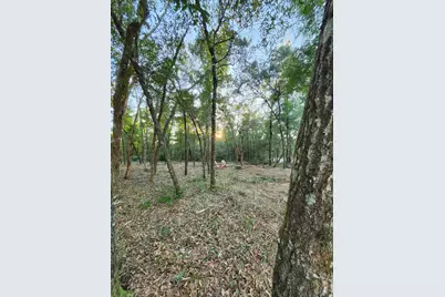 Lot 37 Diane Place, Chipley, FL 32428 - Photo 37