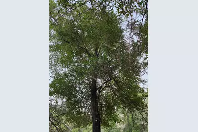 Lot 37 Diane Place, Chipley, FL 32428 - Photo 27