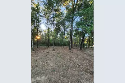 Lot 37 Diane Place, Chipley, FL 32428 - Photo 43