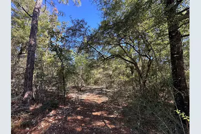Tbd Bear Head Road, Crestview, FL 32539 - Photo 13