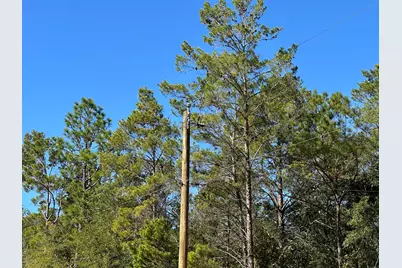 Tbd Bear Head Road, Crestview, FL 32539 - Photo 9