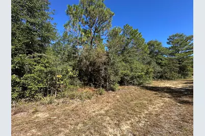 Tbd Bear Head Road, Crestview, FL 32539 - Photo 5