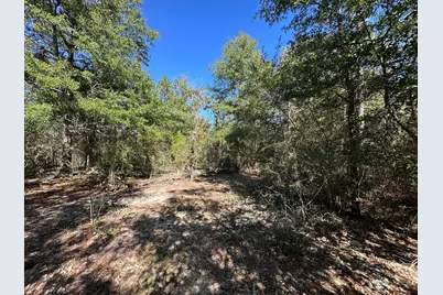 Tbd Bear Head Road, Crestview, FL 32539 - Photo 3