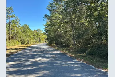 Tbd Bear Head Road, Crestview, FL 32539 - Photo 1