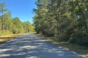 Tbd Bear Head Rd, Crestview, FL 32539 - Photo 1