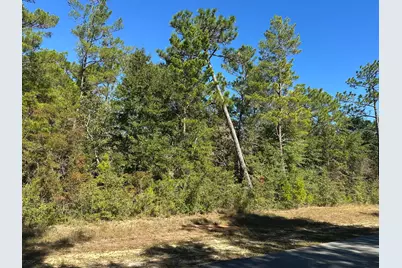 Tbd Bear Head Road, Crestview, FL 32539 - Photo 7