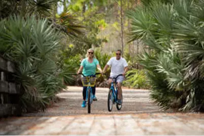 223 Audubon Drive, Miramar Beach, FL 32550 - Photo 51