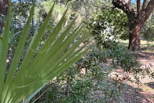 6814 Avenida De Galvez, Navarre, FL 32566 - Photo 43