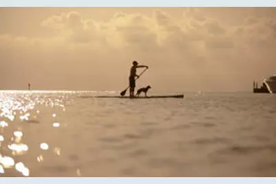 8972 Heron Walk Drive # 8972, Miramar Beach, FL 32550 - Photo 55