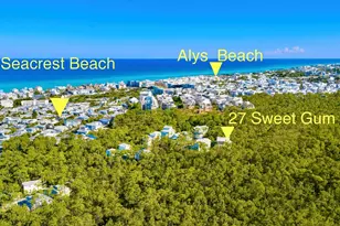 27 Sweet Gum, Inlet Beach, FL 32461 - Photo 43