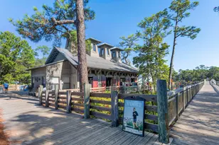 318 E Royal Fern Way E, Santa Rosa Beach, FL 32459 - Photo 43