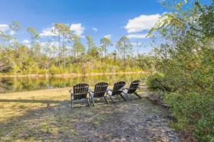 318 E Royal Fern Way E, Santa Rosa Beach, FL 32459 - Photo 35