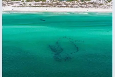 5000 S Sandestin Boulevard S #UNIT 6302 and 6304, Miramar Beach, FL 32550 - Photo 97