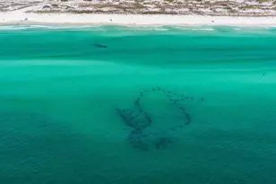 5000 S Sandestin Blvd S, Miramar Beach, FL 32550 - Photo 97