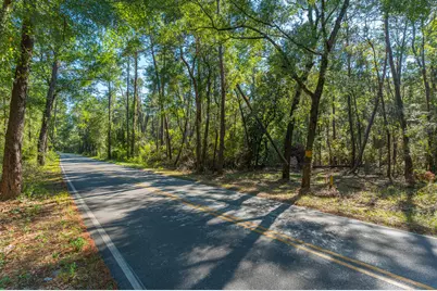 7 Acres Old Jolly Bay Road, Freeport, FL 32439 - Photo 13
