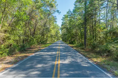 7 Acres Old Jolly Bay Road, Freeport, FL 32439 - Photo 7