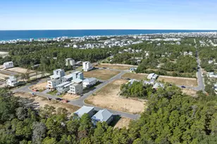 39 Sarah St, Inlet Beach, FL 32461 - Photo 3