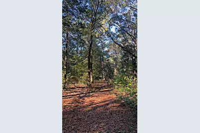 8092 Highway 393, Laurel Hill, FL 32567 - Photo 1