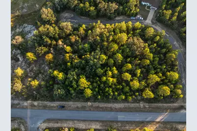 Xxxxxx Shenandoah Lot 19, Chipley, FL 32428 - Photo 3