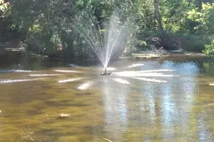 3292 S 2nd Ave South Ave S, Bonifay, FL 32425 - Photo 7