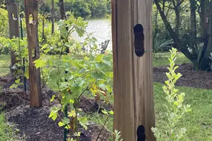 80 Fairway Dr, Santa Rosa Beach, FL 32459 - Photo 55