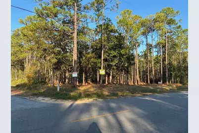 00 Indian Woman Road, Santa Rosa Beach, FL 32459 - Photo 3