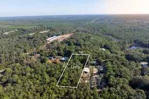 Lot 3 N Norwood Rd, Defuniak Springs, FL 32433 - Photo 9