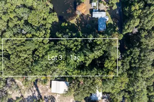 Lot 3 N Norwood Rd, Defuniak Springs, FL 32433 - Photo 7