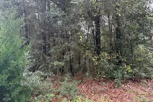 Lot 4 German Club Rd, Defuniak Springs, FL 32433 - Photo 11