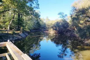 1907 River Rd, Ponce de Leon, FL 32455 - Photo 57