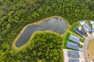 169 Orman Ct, Inlet Beach, FL 32461 - Photo 3