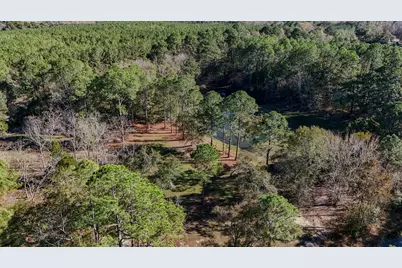 1981 Parrish Rd Road, Florala, AL 36442 - Photo 57