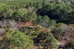 1981 Parrish Rd Rd, Florala, AL 36442 - Photo 57