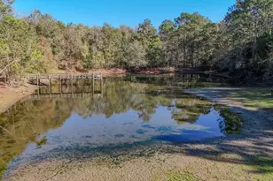 1981 Parrish Rd Rd, Florala, AL 36442 - Photo 55