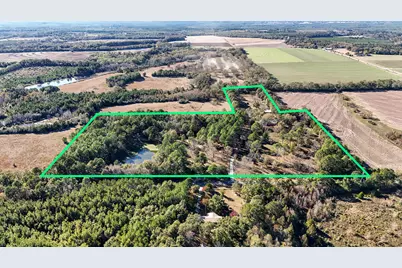 1981 Parrish Rd Road, Florala, AL 36442 - Photo 59