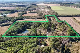 1981 Parrish Rd Rd, Florala, AL 36442 - Photo 59