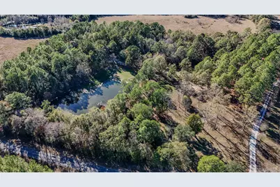 1981 Parrish Rd Road, Florala, AL 36442 - Photo 51