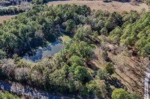 1981 Parrish Rd Rd, Florala, AL 36442 - Photo 51