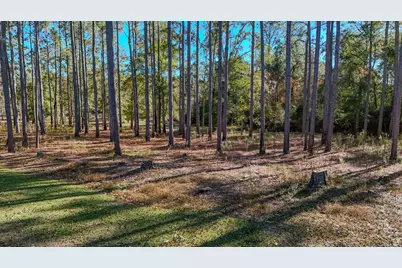 1981 Parrish Rd Road, Florala, AL 36442 - Photo 47