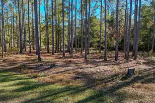 1981 Parrish Rd Rd, Florala, AL 36442 - Photo 47