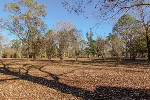 1981 Parrish Rd Rd, Florala, AL 36442 - Photo 35